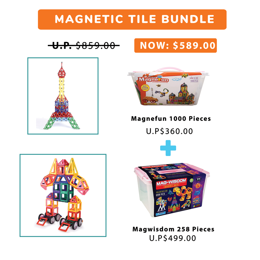 Comprehensive Bundle Set ( Magnefun 1000 pcs + Mag-Wisdom 258 pcs)